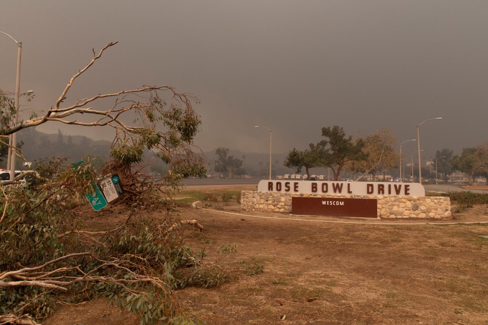 Falling trees close to the Rose Bowl stadium while winds fuel the wildfires in Southern California